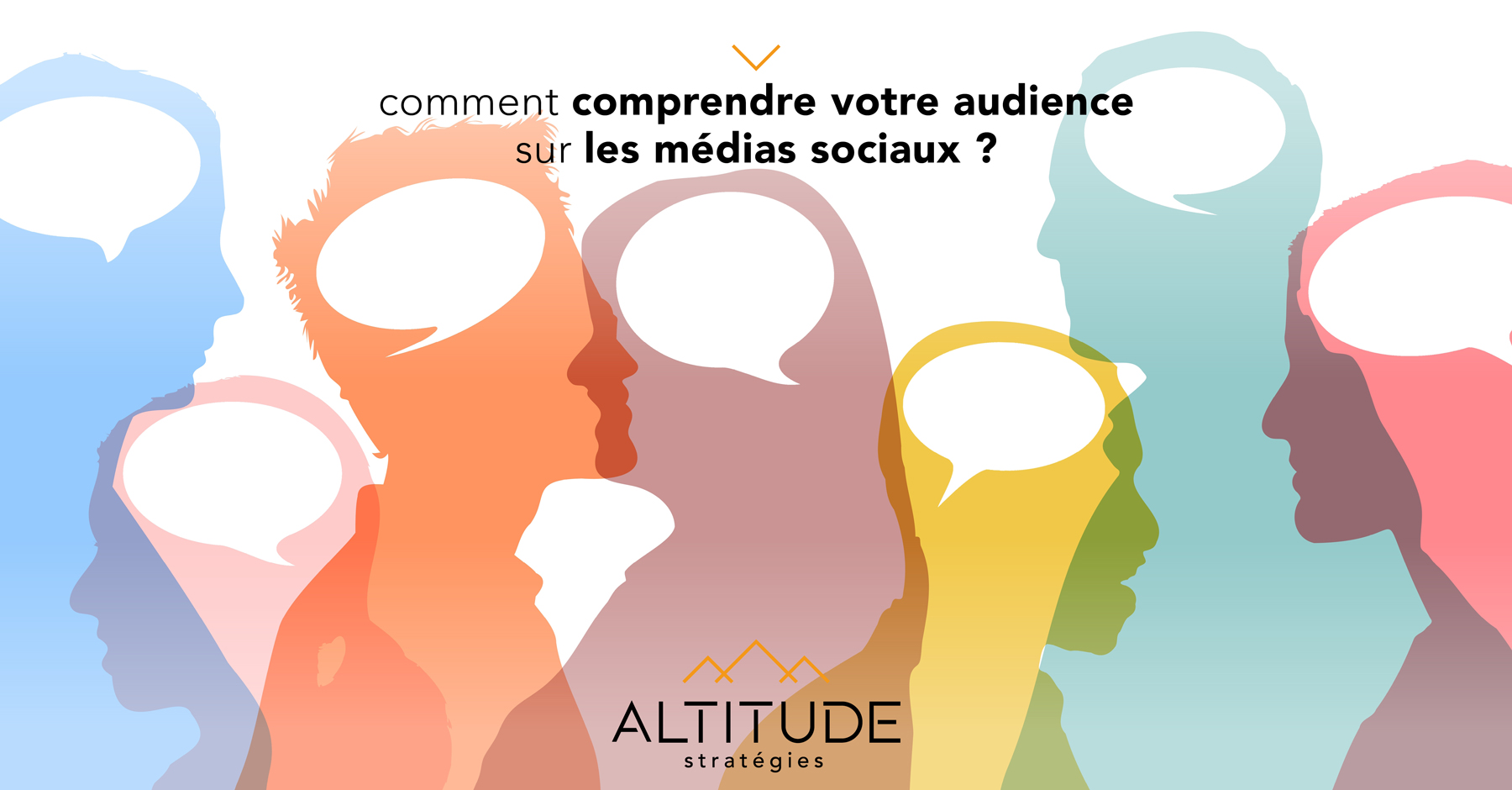 Comment-comprendre-votre-audience-sur-les-medias-sociaux-web