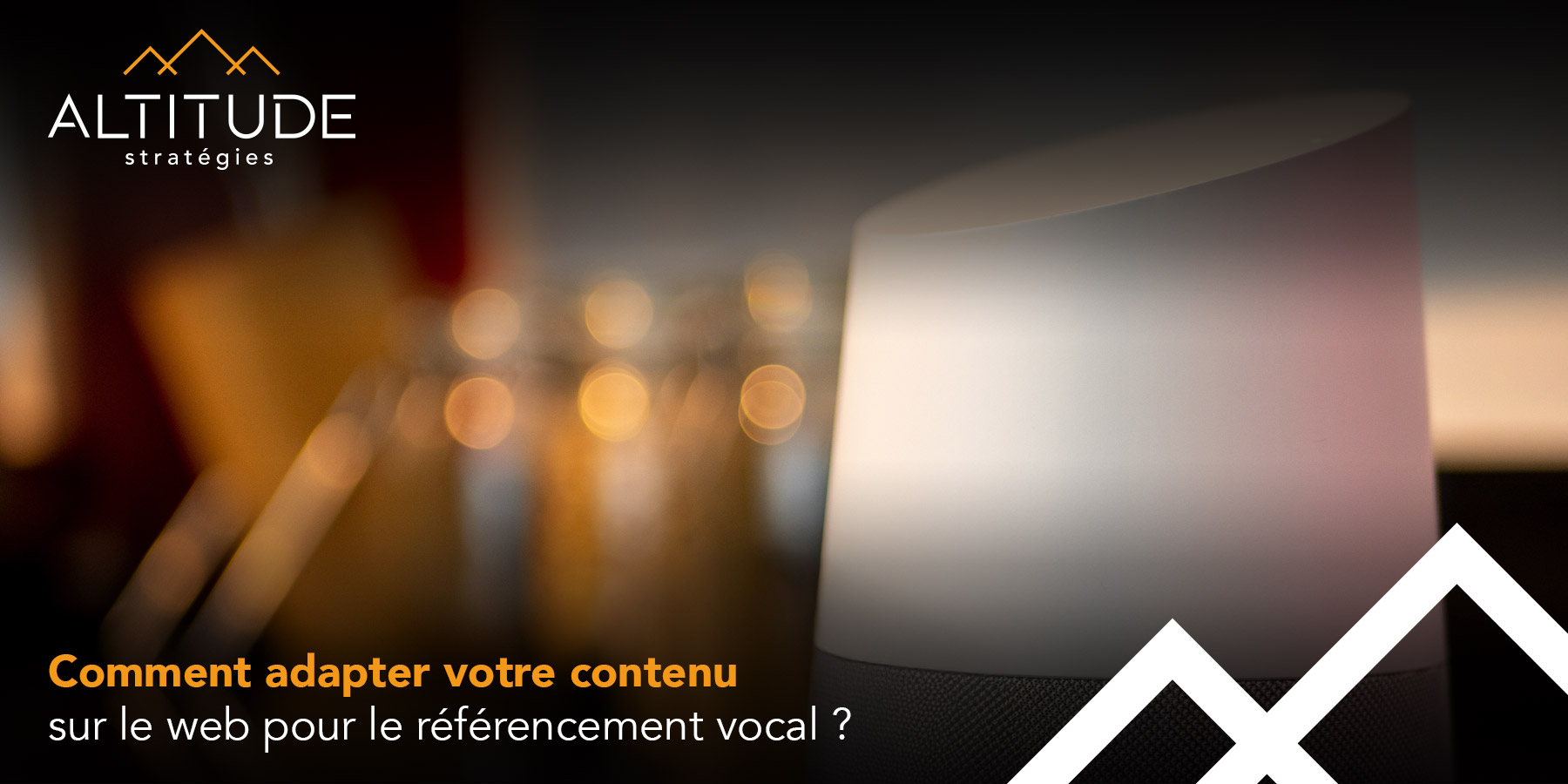 referencement_vocal