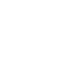 site_web_icon