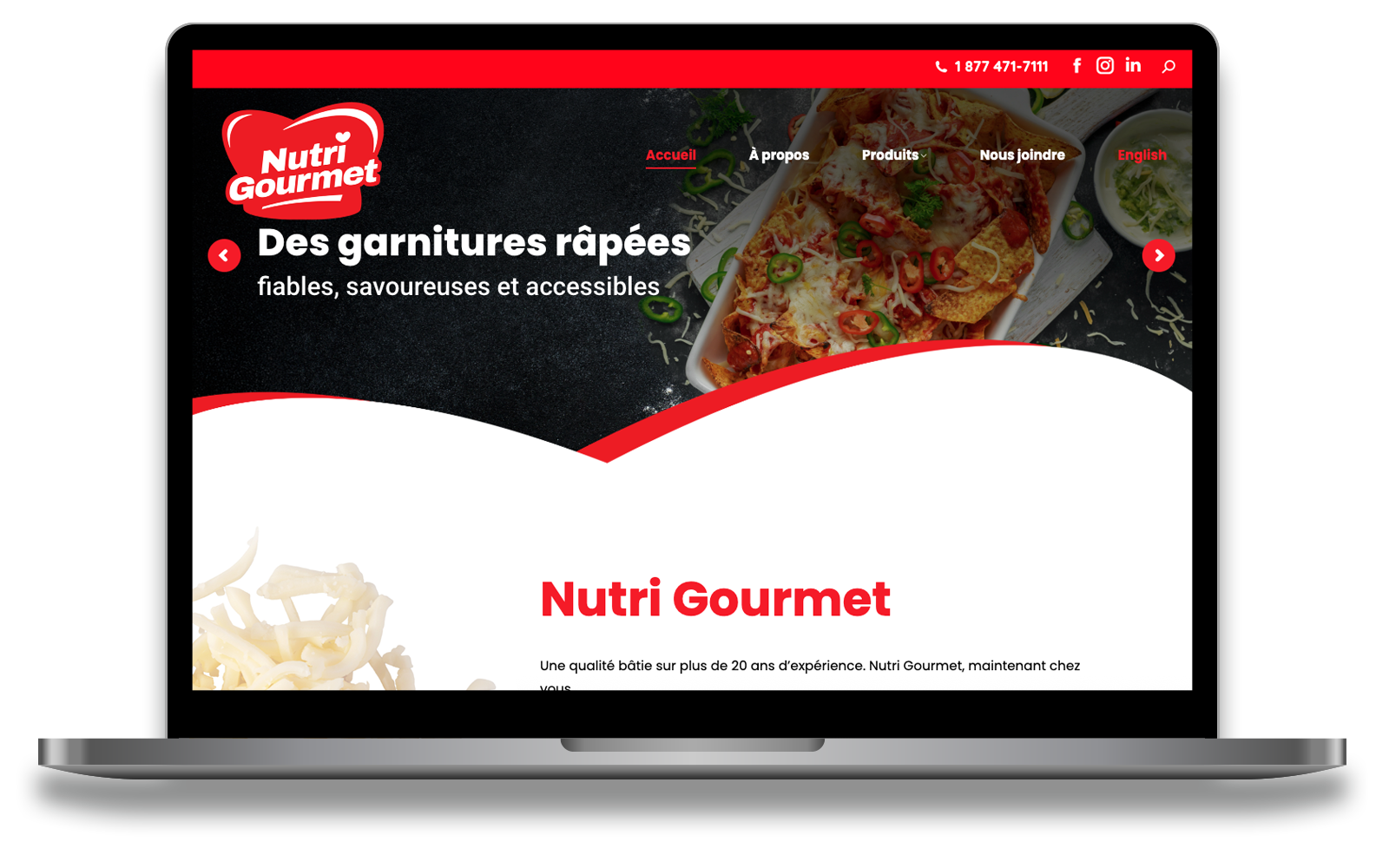 template_siteweb_nutrigourmet
